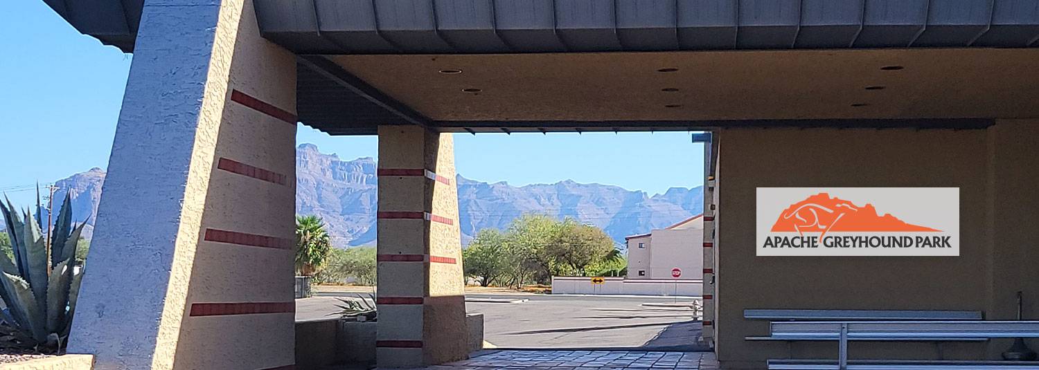 American Greyhound Racing | Greyhound Racetrack, Live Racing ...