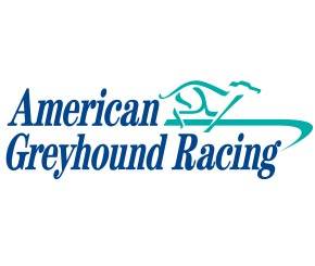 American Greyhound Racing