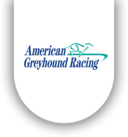 American Greyhound Racing